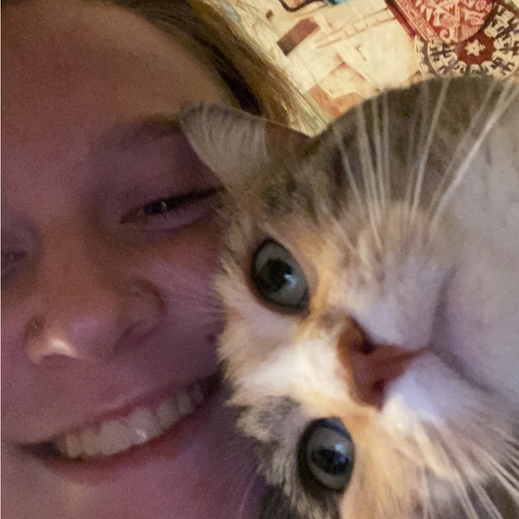 Meet your Posher, Piper - Picture 1 of 1